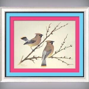 Vintage 1978 "CedarWaxwings Birds" Art Print